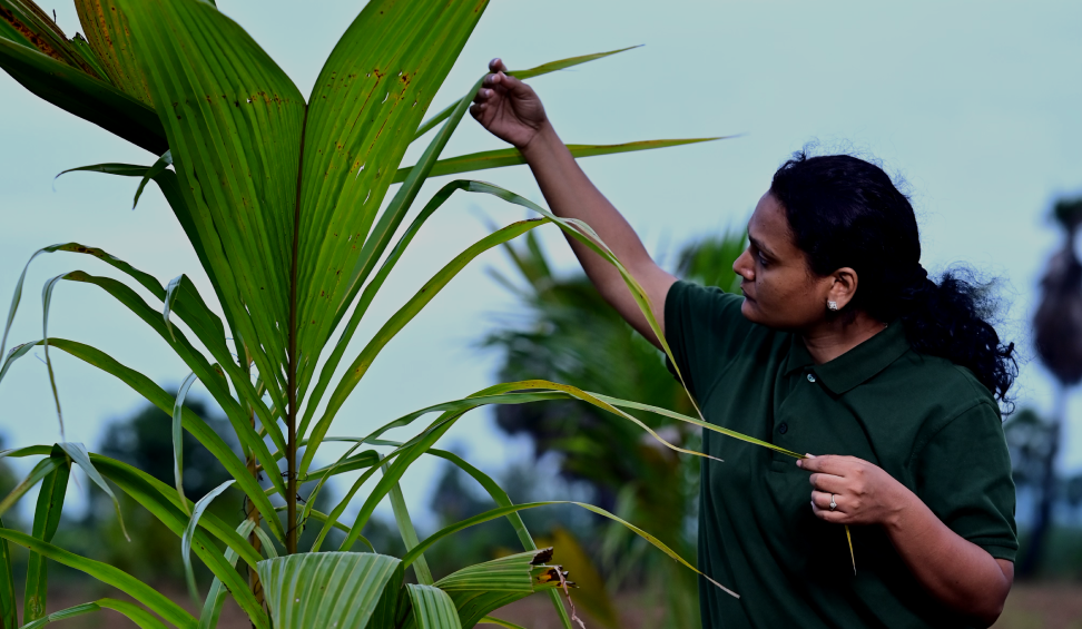 Varaha World's only developing economies focused climate tech venture